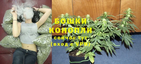 спиды Нея