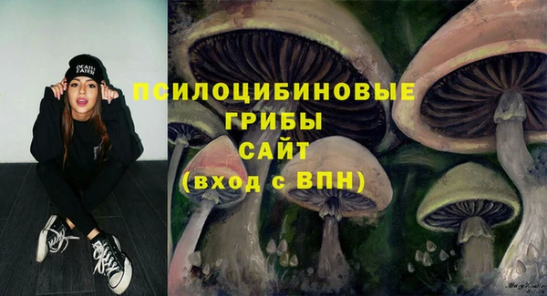 спиды Нея