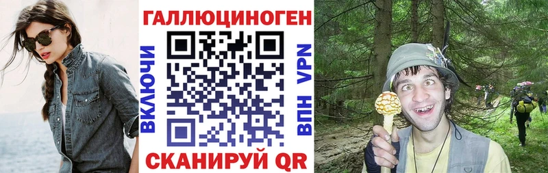 Псилоцибиновые грибы Psilocybine cubensis  Ижевск 