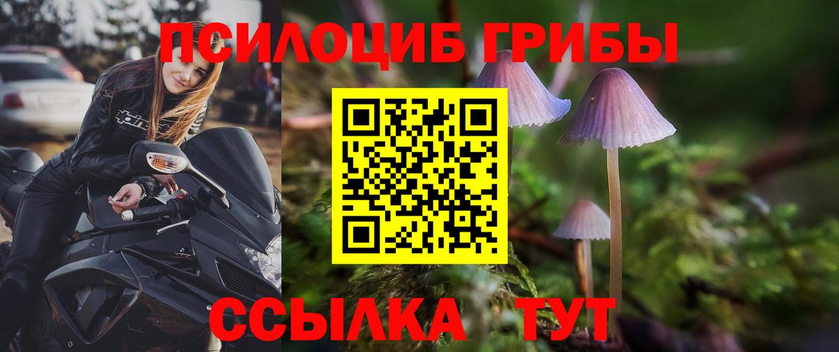 Псилоцибиновые грибы прущие грибы Ижевск